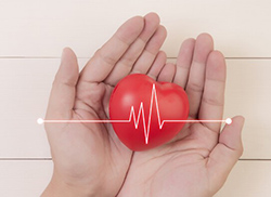 Two hands cup a red heart and a heart beat symbol overlays them